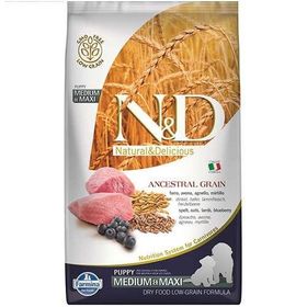 N&D 12 kg Düşük Tahıllı Kuzu Yaban Mersini Orta ve Büyük Irk Yavru Köpek Maması
