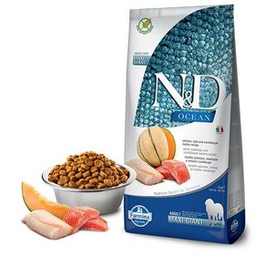 N&D 12 kg Ocean Somon ve Morina Balıklı Kavunlu Giant Maxi Yetişkin Köpek Maması