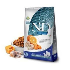 N&D 2.5 kg Ocean Bal Kabaklı Balıklı ve Portakallı Orta ve Büyük Irk Tahılsız Yetişkin Köpek Maması