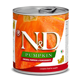 N&D 285 gr Pumpkin Tavuklu Yavru Köpek Konservesi