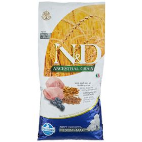 N&D Ancestral Grain Kuru 12 kg Köpek Maması