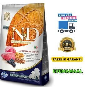 N&D Az Tahıllı Kuzulu Yavru Orta ve Büyük Irk 12 kg Köpek Maması