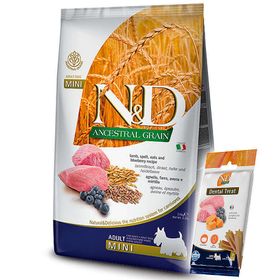 N&D Düşük Tahıl Kuzu Yaban Mersini Küçük Irk Köpek Maması 2.5 kg + ND Dental Köpek Ödülü