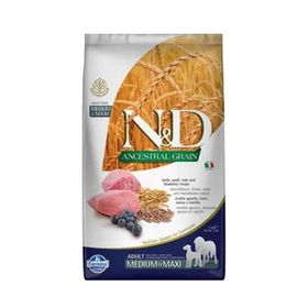 N&D Düşük Tahıllı Kuzu Etli Yaban Mersinli Orta ve Büyük irk Yetişkin 2.5 kg Köpek Maması