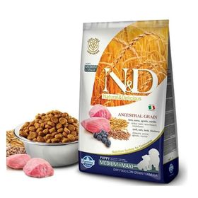 N&D Kuzu Etli Ve Yabanmersinli Yetişkin 12 kg Köpek Maması