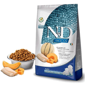 N&D Ocean 12 kg Morina Balıklı Balkabaklı ve Kavunlu Yavru Köpek Maması