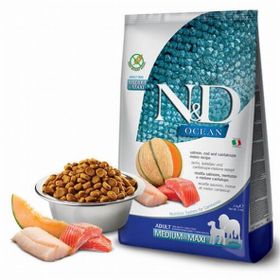 N&D Ocean 12 kg Somon-Morina Kavunlu Büyük ve Orta Irk Köpek Maması