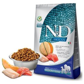 N&D Ocean 12 kg Tahılsız Somon & Morina Balıklı ve Kavunlu Büyük ve Orta Irk Yetişkin Köpek Kuru Maması