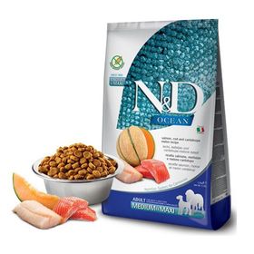 N&D Ocean Morina 2.5 kg Balkabaklı-Kavunlu Büyük ve Orta Irk Yavru Köpek Maması