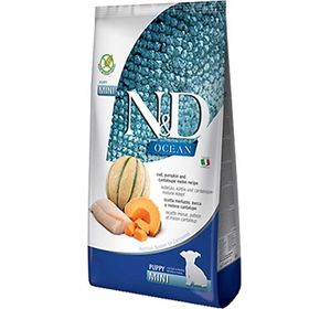N&D Ocean Morina Balıklı Balkabaklı Küçük Irk 7 kg Yavru Köpek Maması