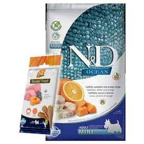 N&D Ocean Tahılsız Balkabaklı Morina Balıklı Küçük Irk Köpek Maması 2.5 kg + ND Dental Köpek Ödülü