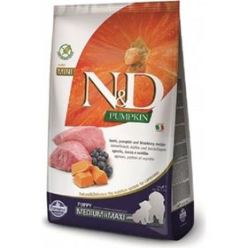 N&D Pumpkin 12 kg Balkabaklı Kuzu Etli Orta ve Büyük Irk Yavru Köpek Maması