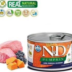 N&D Pumpkin Balkabaklı Kuzulu Yaban Mersinli 140 gr Köpek Konservesi