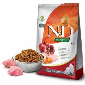 N&D Pumpkin Balkabaklı Tavuk Narlı 2,5 kg Orta Büyük Irk Yavru Köpek Maması