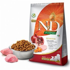 N&D Pumpkin Starter Bal Kabaklı Tavuklu Narlı 2,5 kg Yavru Köpek Maması