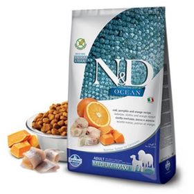 N&D Pumpkin Tahılsız Bal Kabaklı Kuzu Etli ve Yaban Mersinli Orta ve Büyük Irk 2,5 kg Yavru Köpek Maması