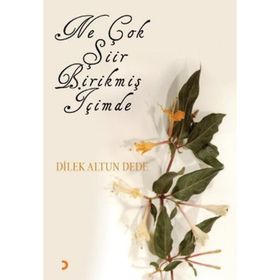 NE ÇOK ŞİİR BİRİKMİŞ İÇİMDE - DILEK ALTUN DEDE