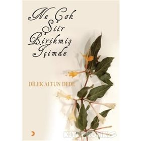 NE ÇOK ŞİİR BİRİKMİŞ İÇİMDE - DILEK ALTUN DEDE