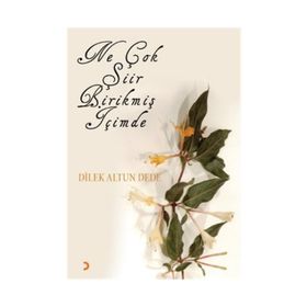 NE ÇOK ŞİİR BİRİKMİŞ İÇİMDE - DILEK ALTUN DEDE