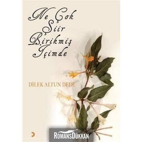 NE ÇOK ŞİİR BİRİKMİŞ İÇİMDE - DILEK ALTUN DEDE