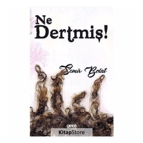 Ne Dertmiş! - Semir Bolat