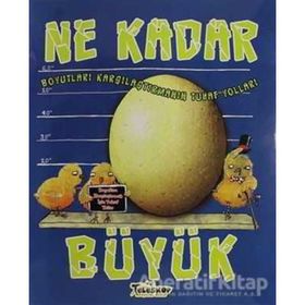 Ne Kadar Büyük - Boyutları Karşılaştırmanın Tuhaf Yolları - Jessica Gunderson