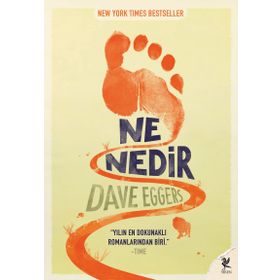 NE NEDIR - DAVE EGGERS