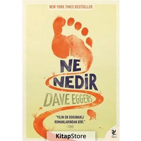 NE NEDIR - DAVE EGGERS