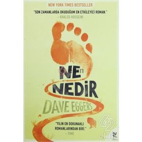 NE NEDIR - DAVE EGGERS