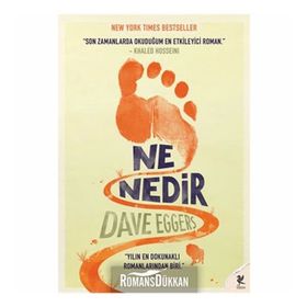 NE NEDIR - DAVE EGGERS