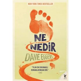 NE NEDIR - DAVE EGGERS