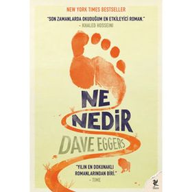 NE NEDIR - DAVE EGGERS