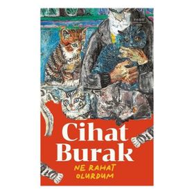 Ne Rahat Olurdum Everest Yayınları