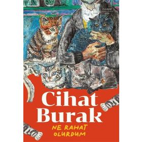 Ne Rahat Olurdum Everest Yayınları