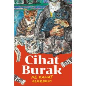 Ne Rahat Olurdum Everest Yayınları