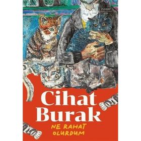 Ne Rahat Olurdum Everest Yayınları