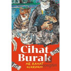 Ne Rahat Olurdum Everest Yayınları