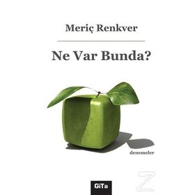 Ne Var Bunda? - Meriç Renkver