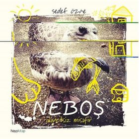 Neboş - Sedef Özge