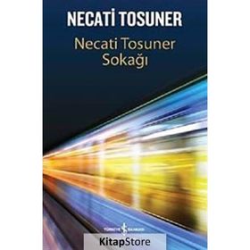 NECATI TOSUNER SOKAĞI - NECATI TOSUNER