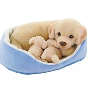 Neco Sepette Yavrulu Labrador Peluş Oyuncak