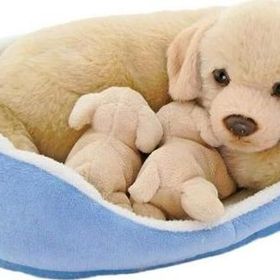 Neco Sepette Yavrulu Labrador Peluş Oyuncak