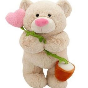 Neco Toys Kalpli Çiçekli Ayı 40 cm Oyuncak