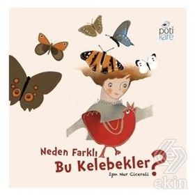 Neden Farklı Bu Kelebekler? - Işın Nur Cicerali