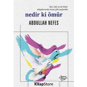 NEDIR KI ÖMÜR - ABDULLAH NEFES