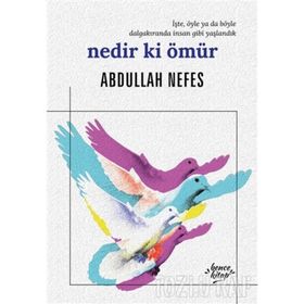 NEDIR KI ÖMÜR - ABDULLAH NEFES