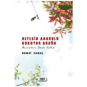 Nefesin Anadolu Kokuyor Bugün - Remzi Varol