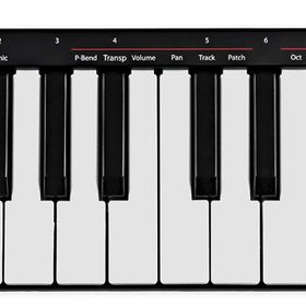 Nektar SE25 Mini USB MIDI Klavye