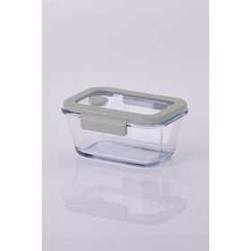 Neoflam Fika Glace Vakumlu Cam 460 ml Gri Saklama Kabı