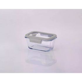 Neoflam Fika Glace Vakumlu Cam 460 ml Gri Saklama Kabı